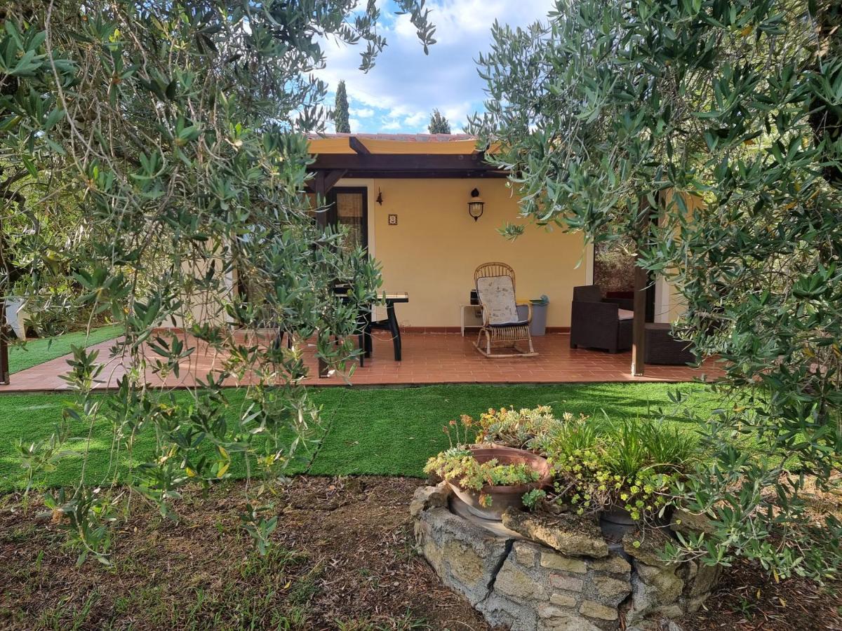 Vigna Lontana Villa Montescudaio Exteriör bild