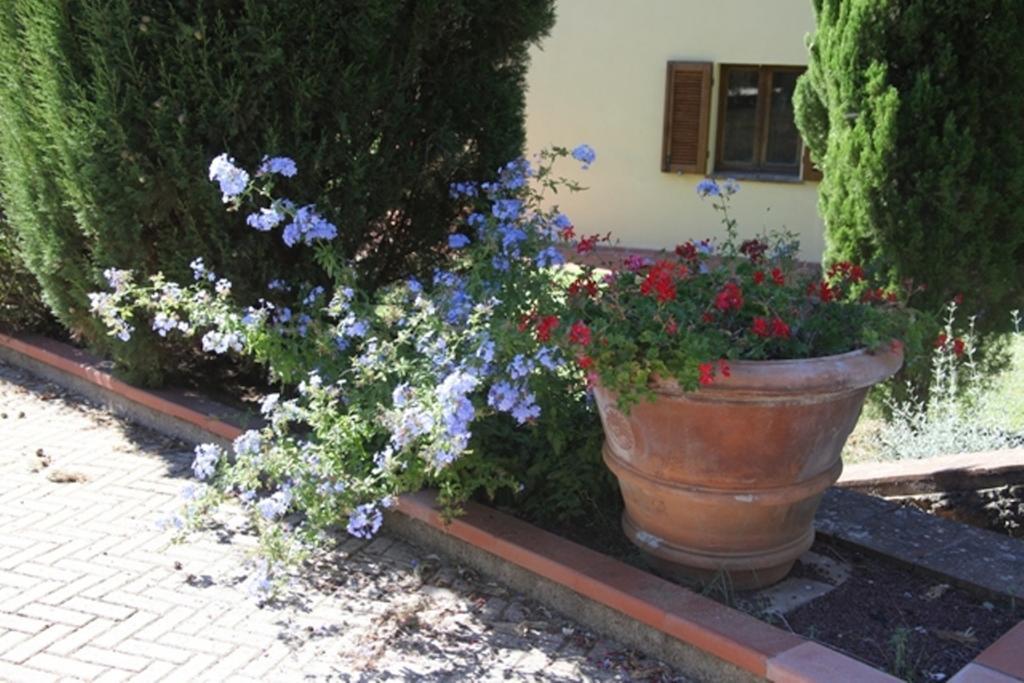 Vigna Lontana Villa Montescudaio Exteriör bild