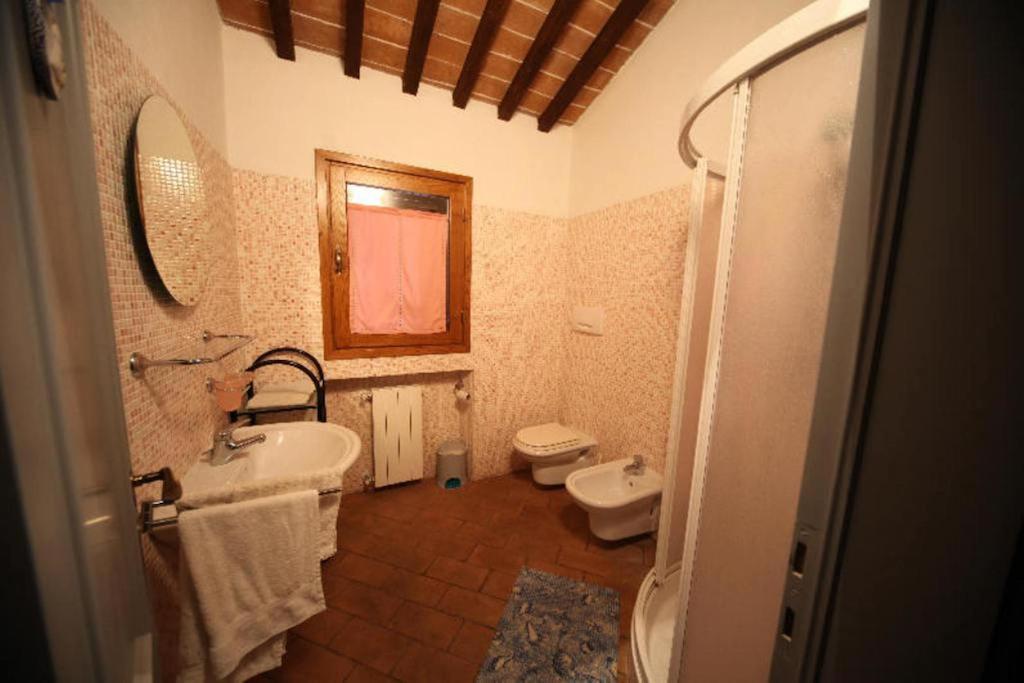 Vigna Lontana Villa Montescudaio Rum bild